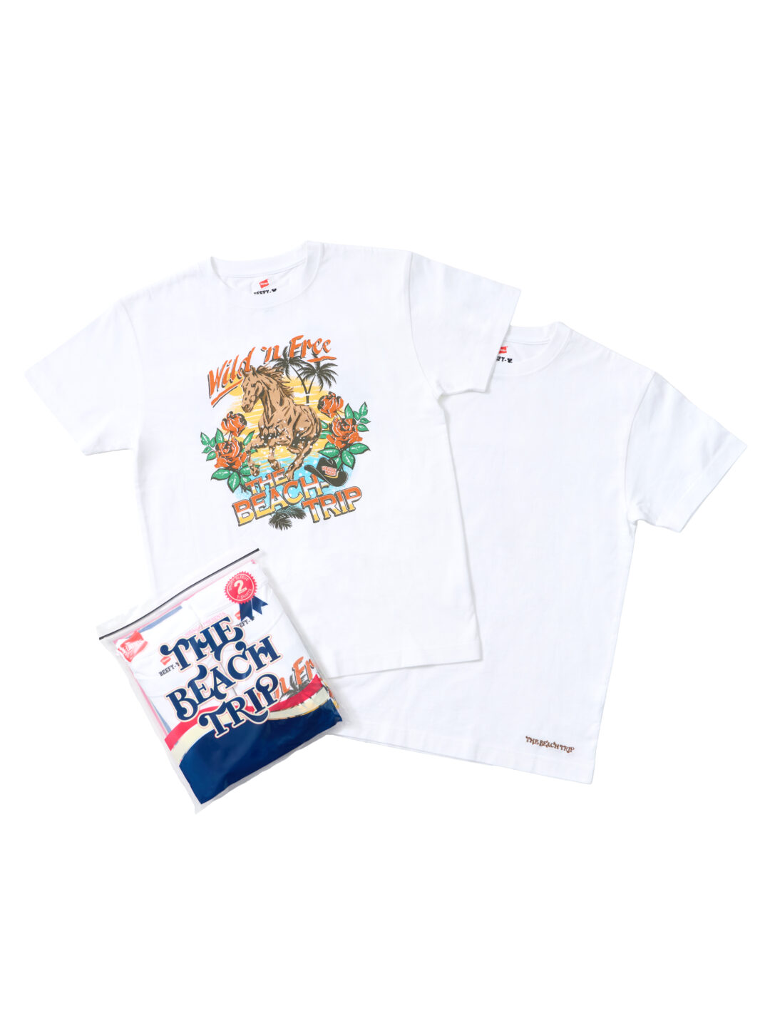 Hanesと平井大のコラボTシャツ「THE BEACH TRIP」が登場！