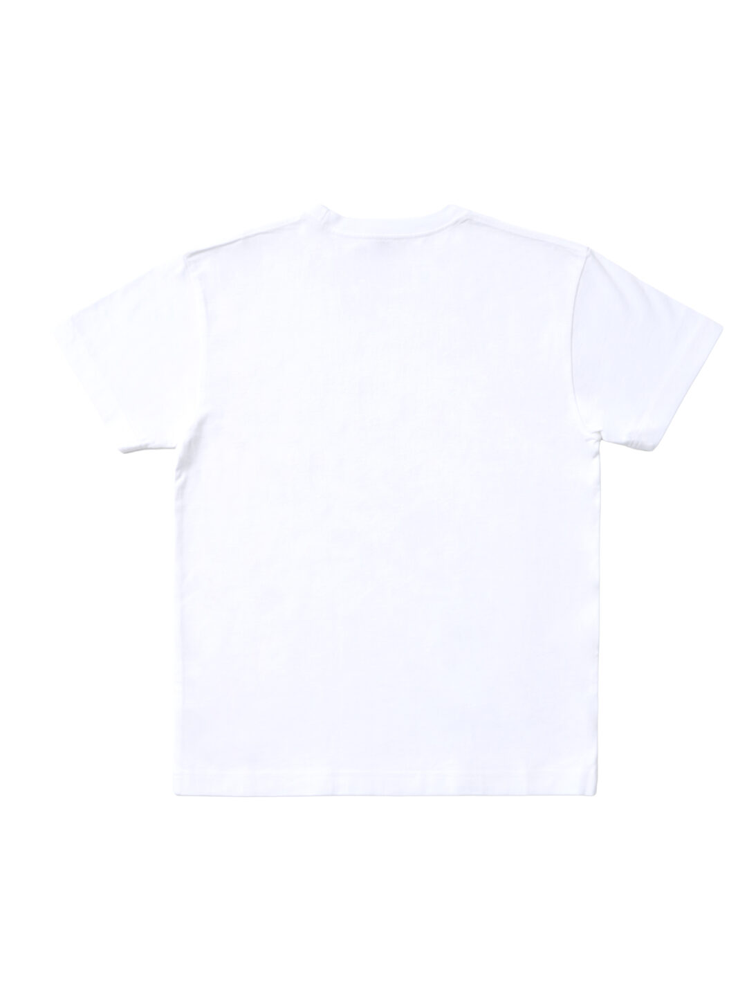 Hanesと平井大のコラボTシャツ「THE BEACH TRIP」が登場！