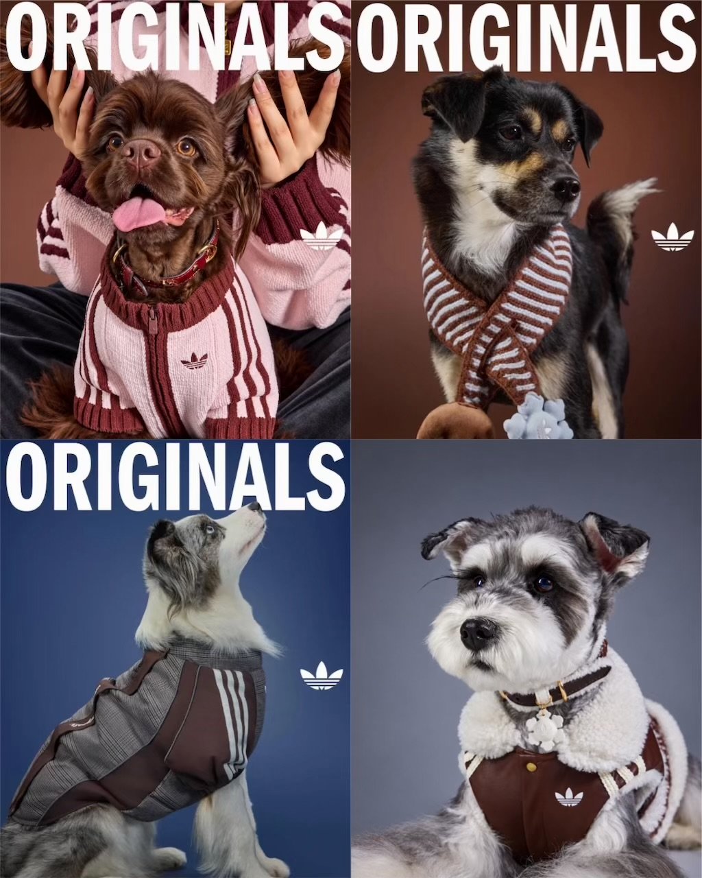 adidas Originalsの2026年冬ペットコレクションが発表