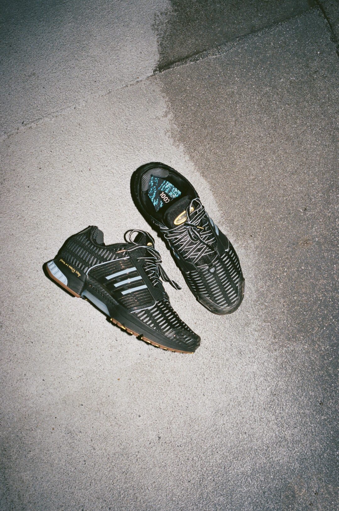 2026年10月28日発売 Always Do What You Should Do × adidas