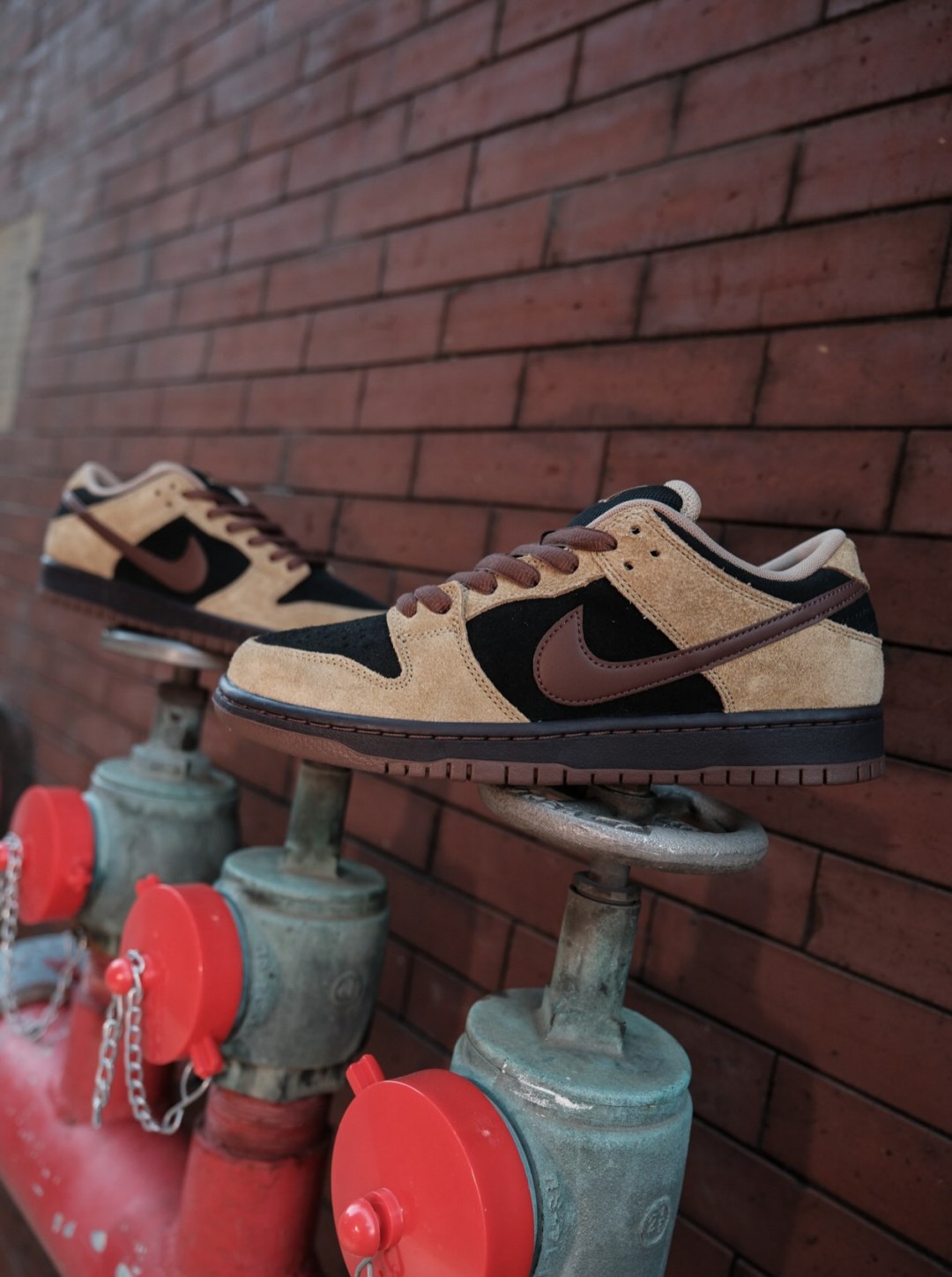 Goss!p|待望の新作!NIKE SB DUNK LOW PROが登場
