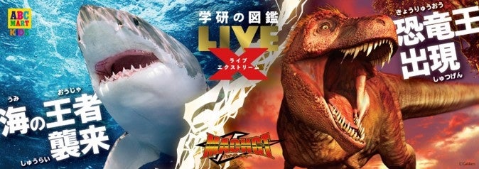 Goss!p｜恐竜と海洋生物がデザインされた新スニーカー！