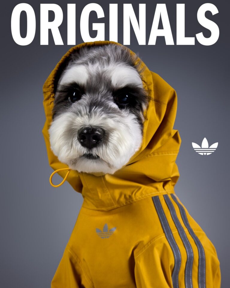 Goss!p|adidas Originals ペットコレクション 2026 WINTER - 発売日未定