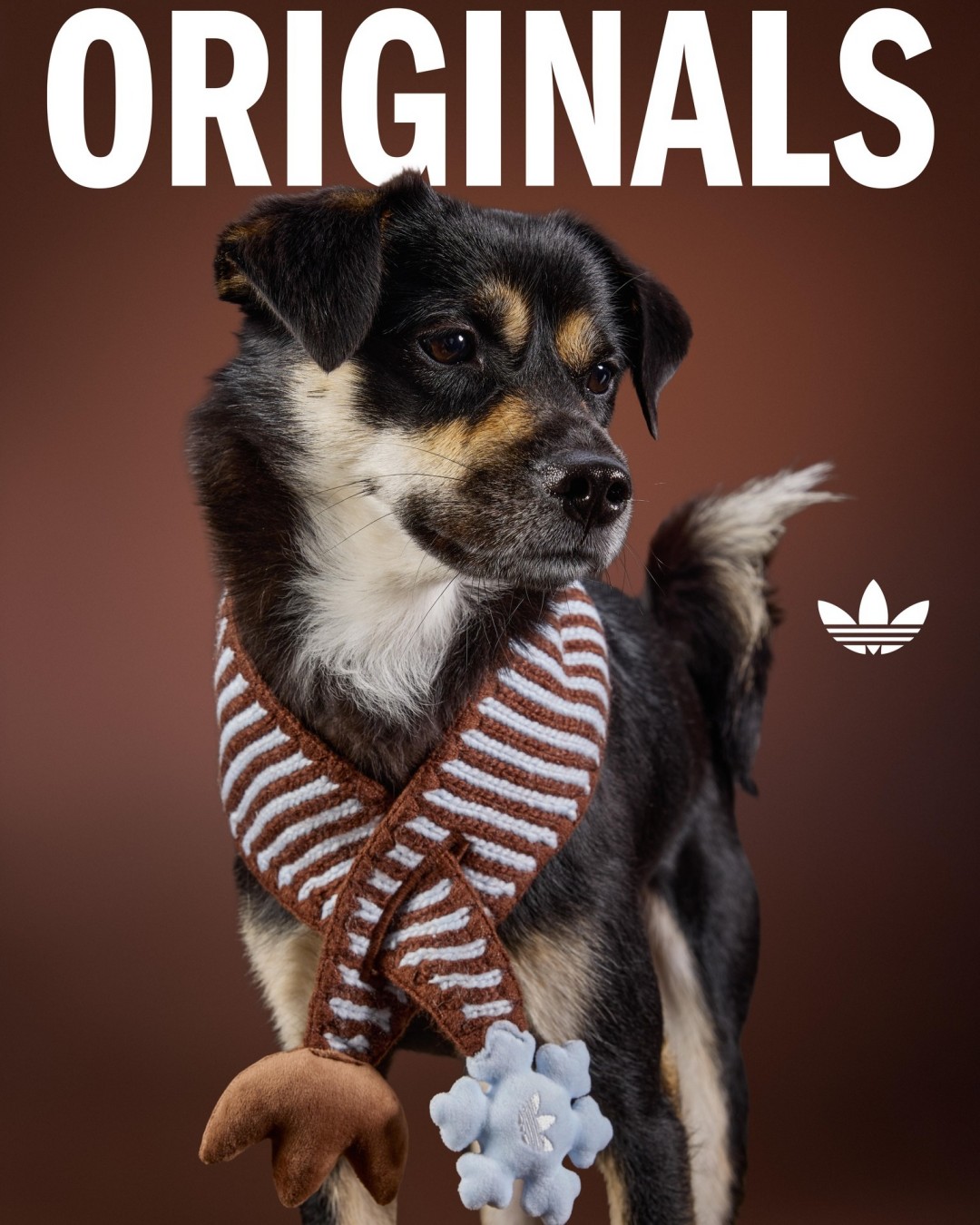 Goss!p｜adidas Originals ペットコレクション 2026冬が登場！