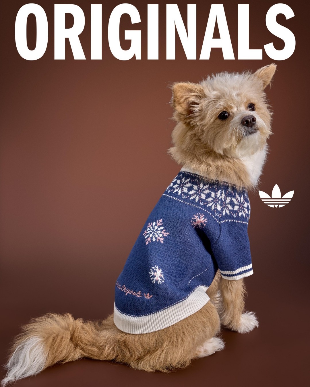 Goss!p｜adidas Originals ペットコレクション 2026冬が登場！