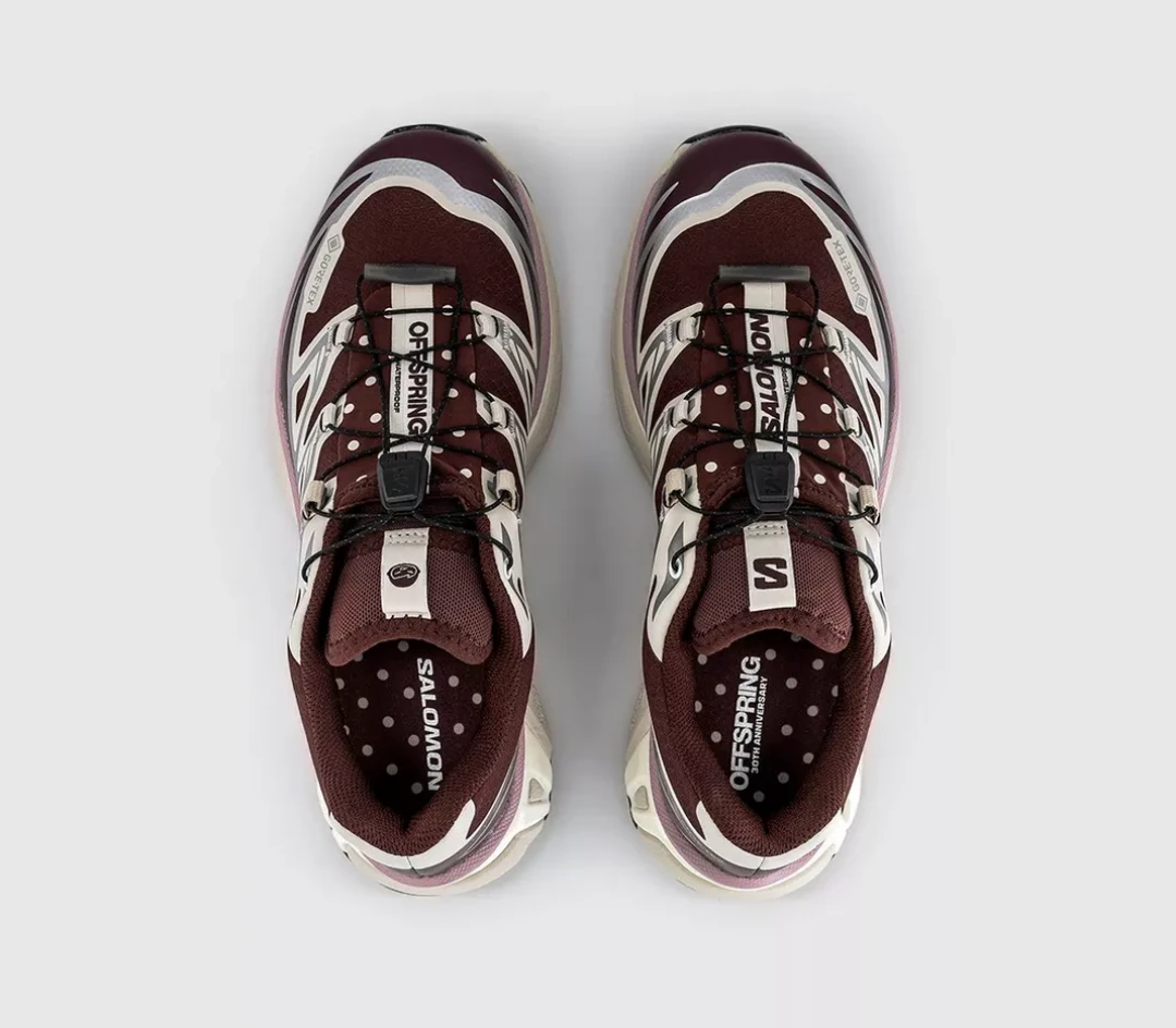 Goss!p｜待望のコラボ！Offspring x Salomon XT-6 GTXが明日登場